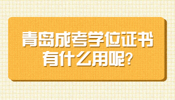 青島成考學位證書