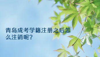 青島成考學籍注冊之后怎么注銷呢